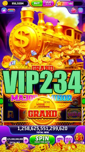 VIP234 Login